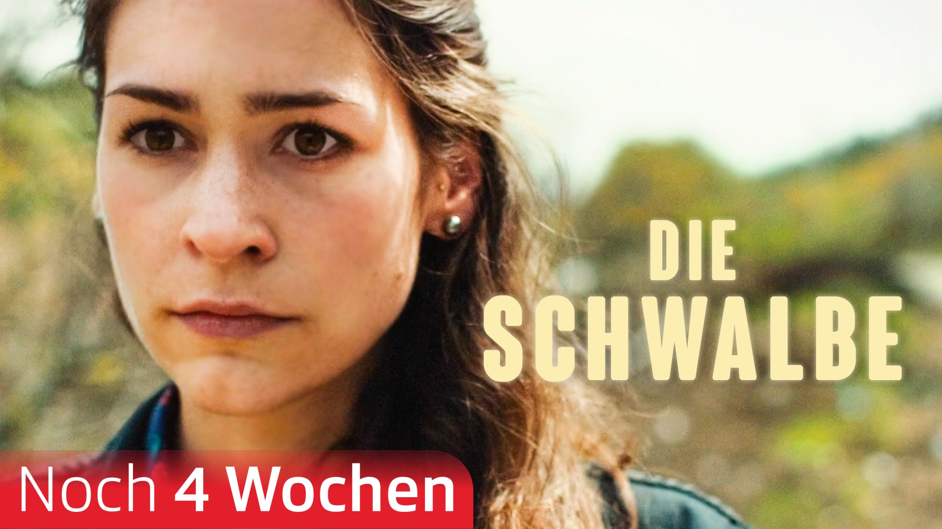 Die Schwalbe