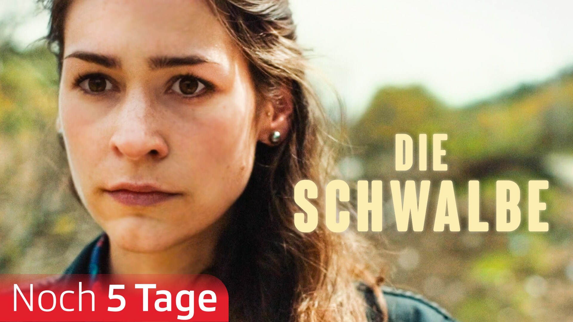 Die Schwalbe
