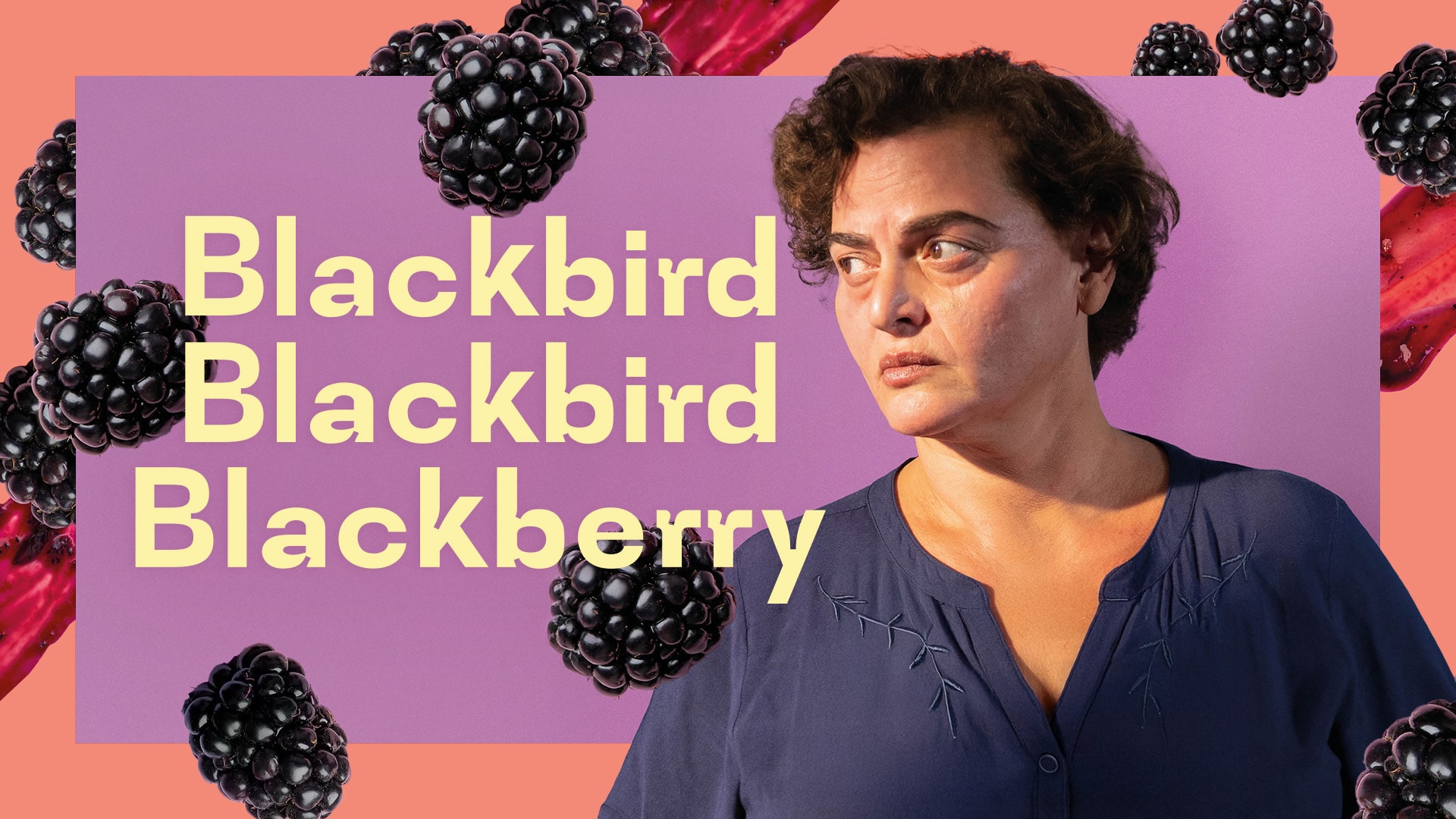 Blackbird Blackbird Blackberry