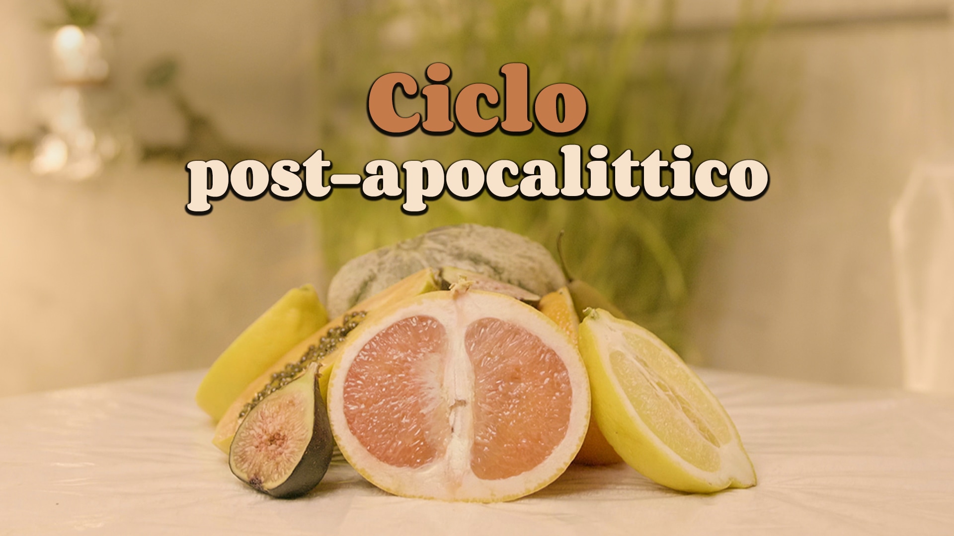 Ciclo post-apocalittico