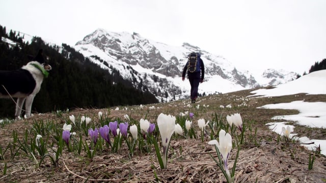 Da Adelboden a Etivaz