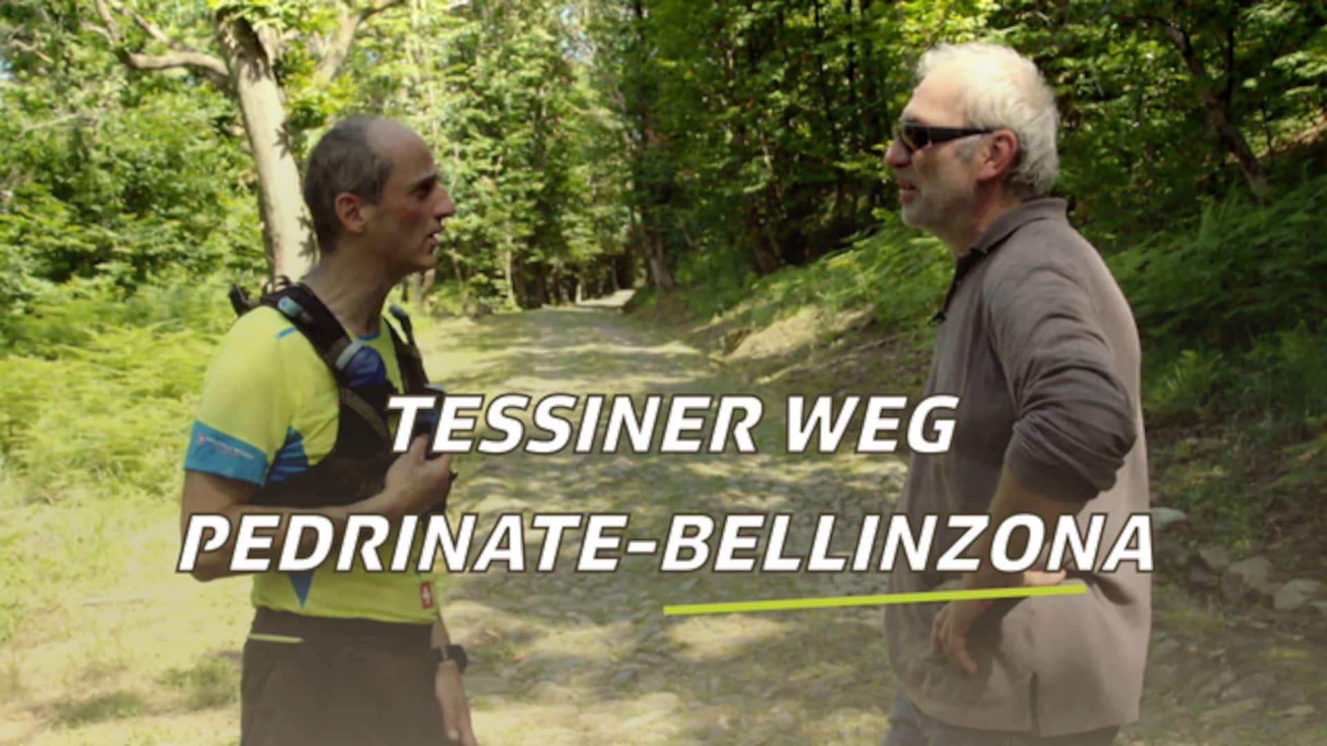 Tessiner Weg: Pedrinate - Bellinzona