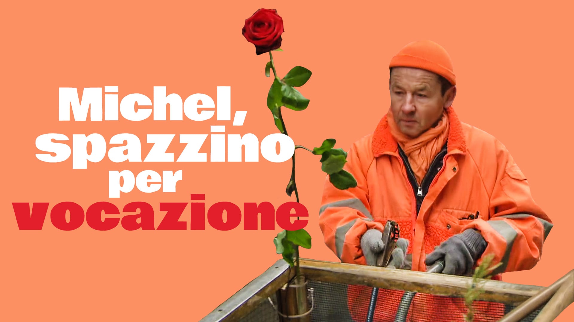 Lo spazzino con la rosa