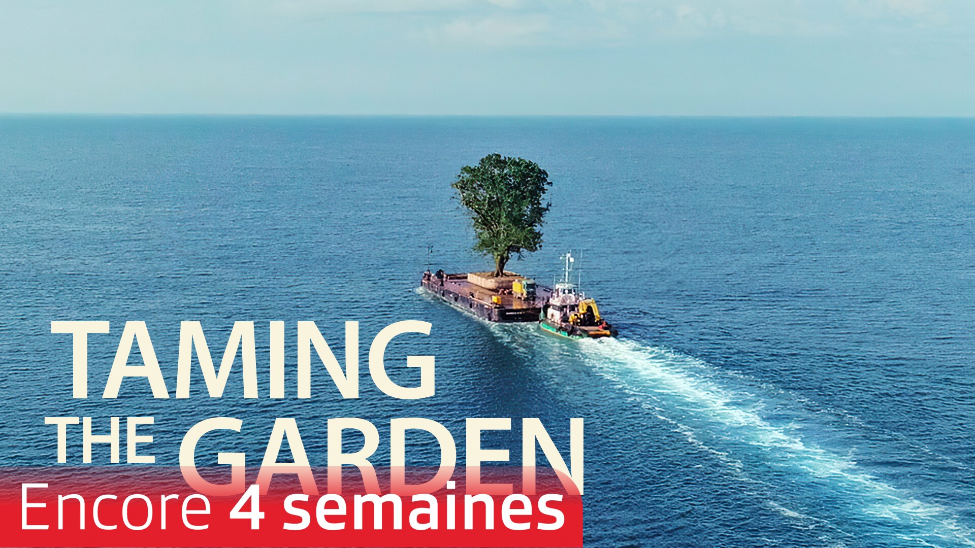 Taming the Garden
