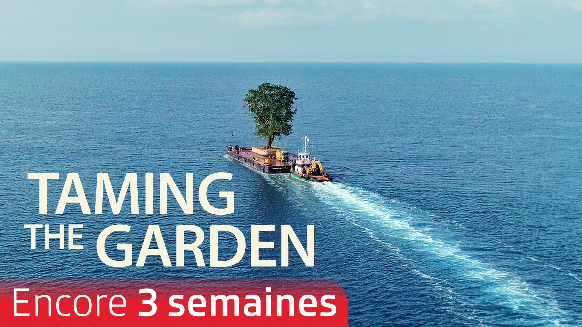 Taming the Garden