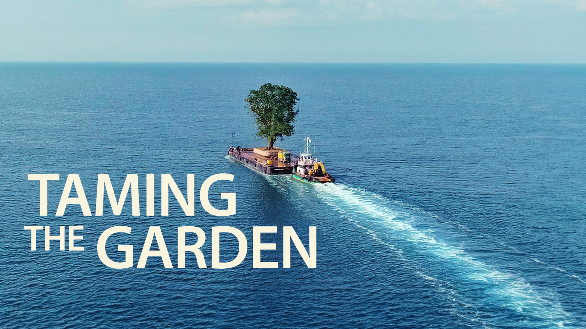 Taming the Garden