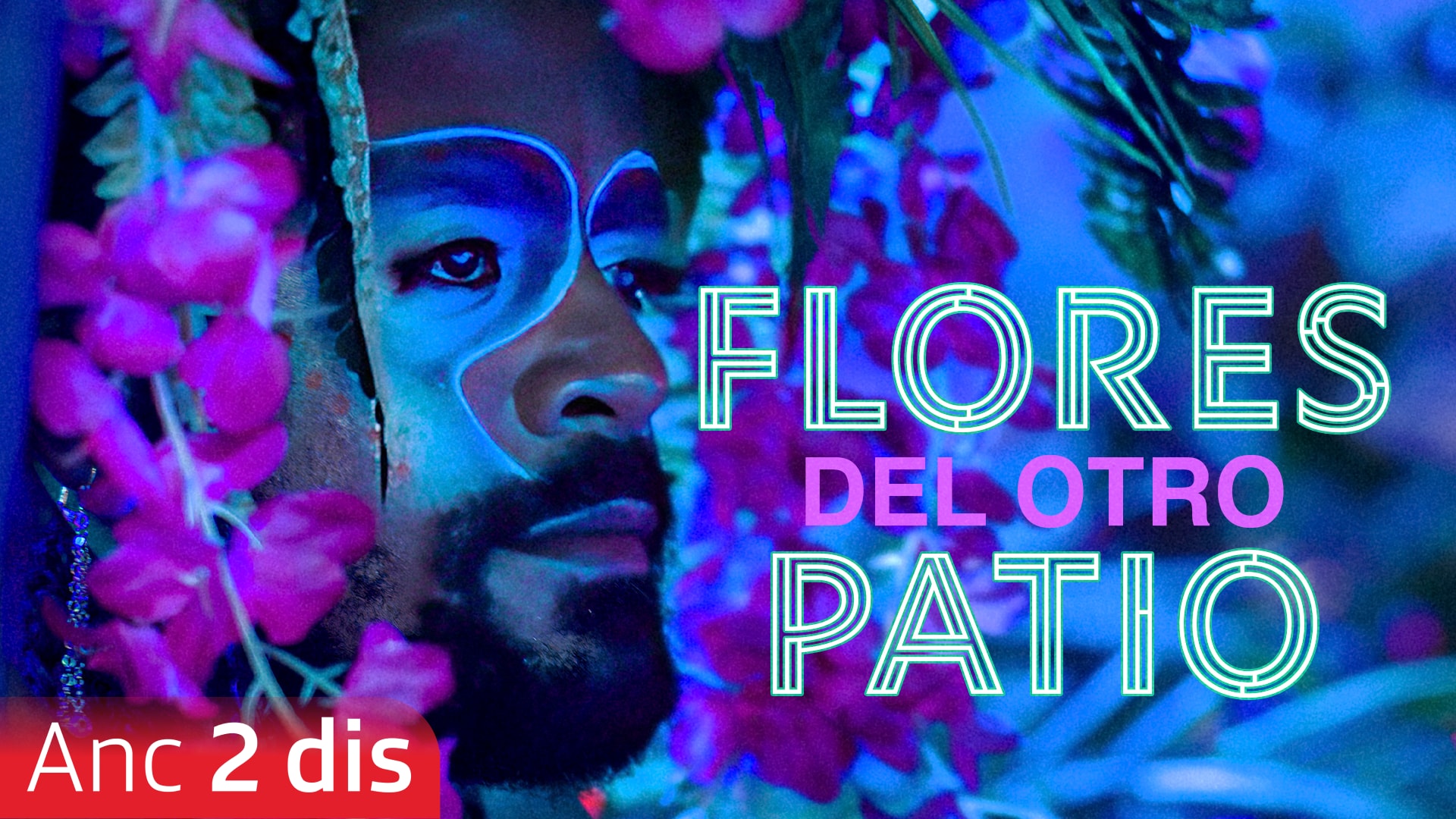 Flores del otro patio