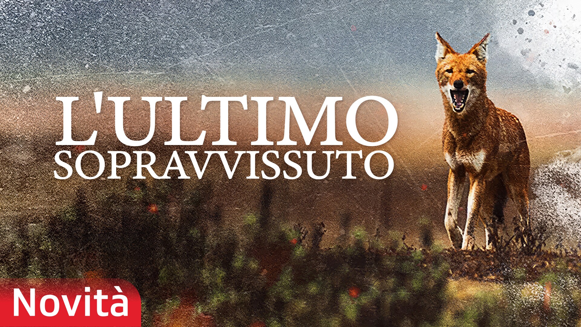 L'ultimo sopravvissuto