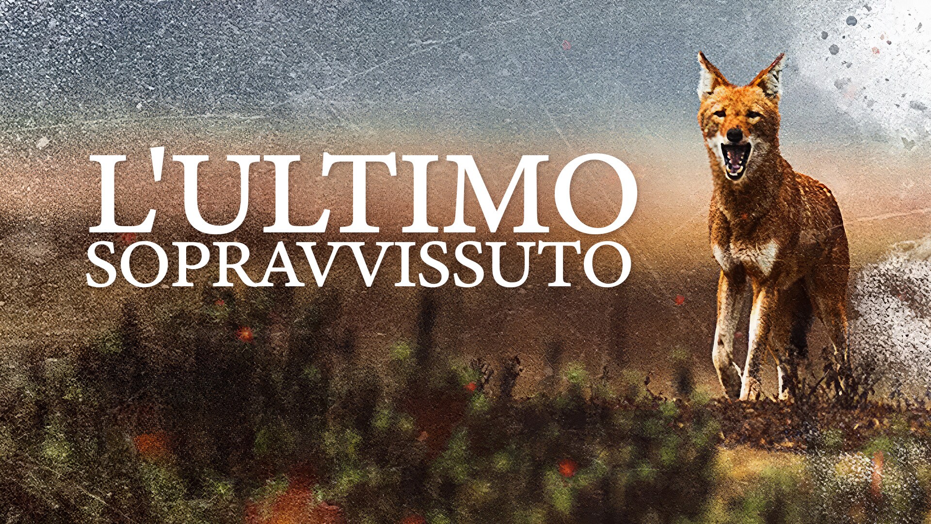 L'ultimo sopravvissuto