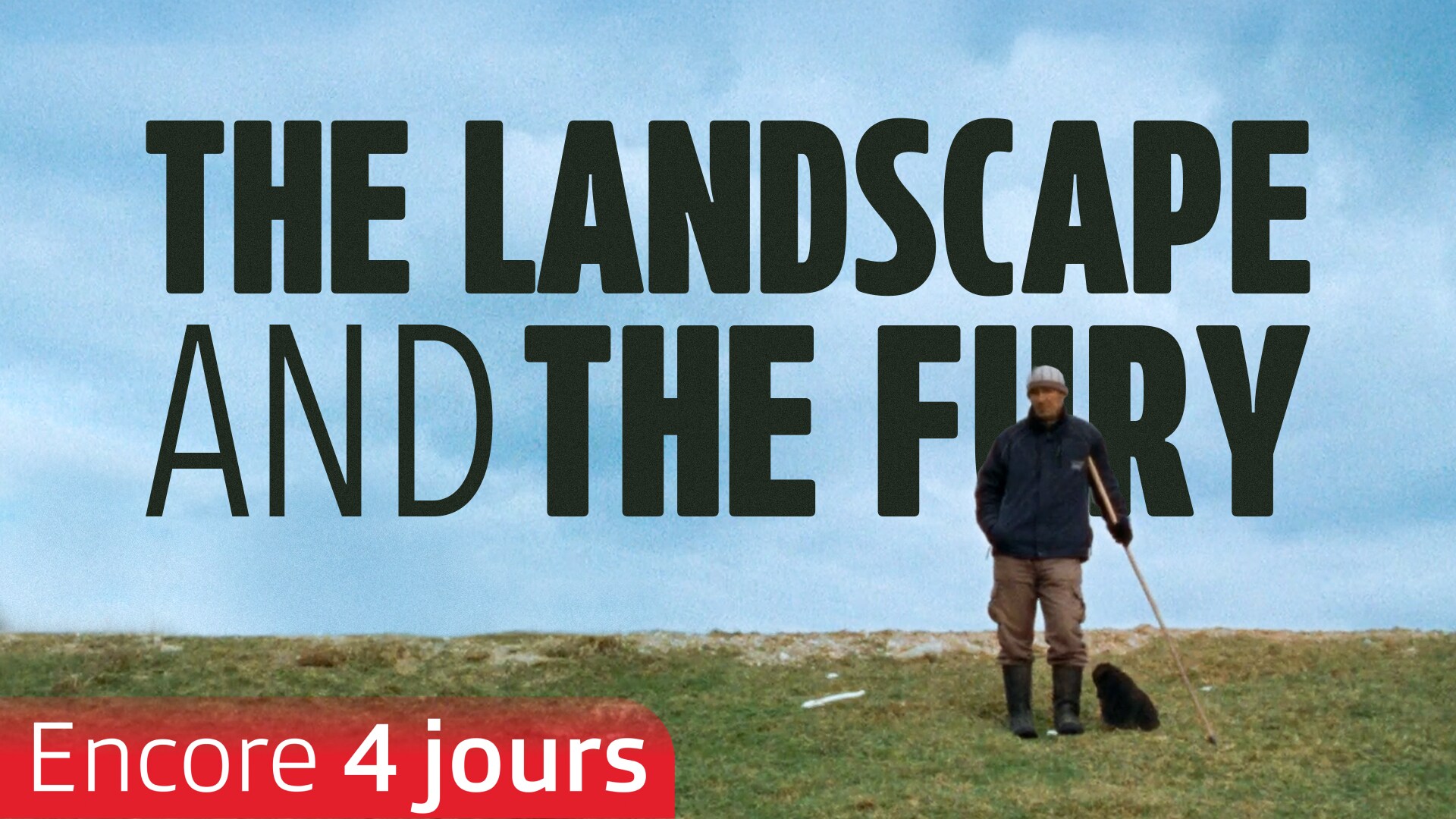 The Landscape and the Fury