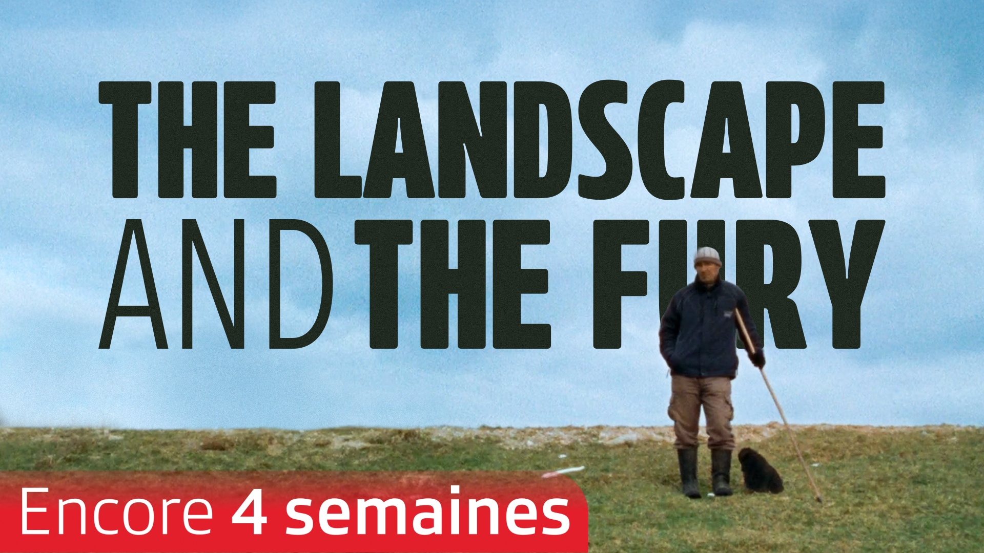 The Landscape and the Fury