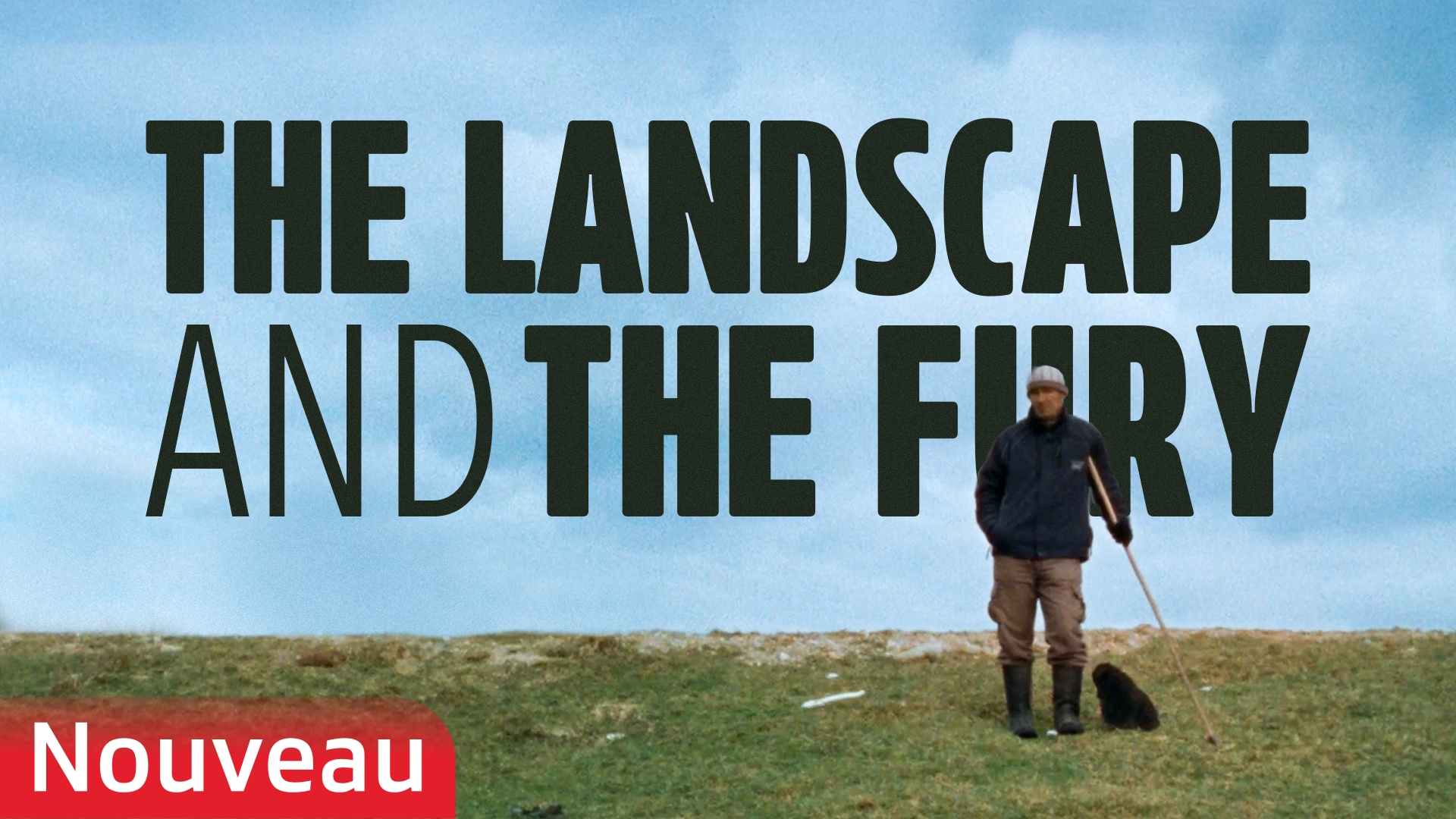 The Landscape and the Fury