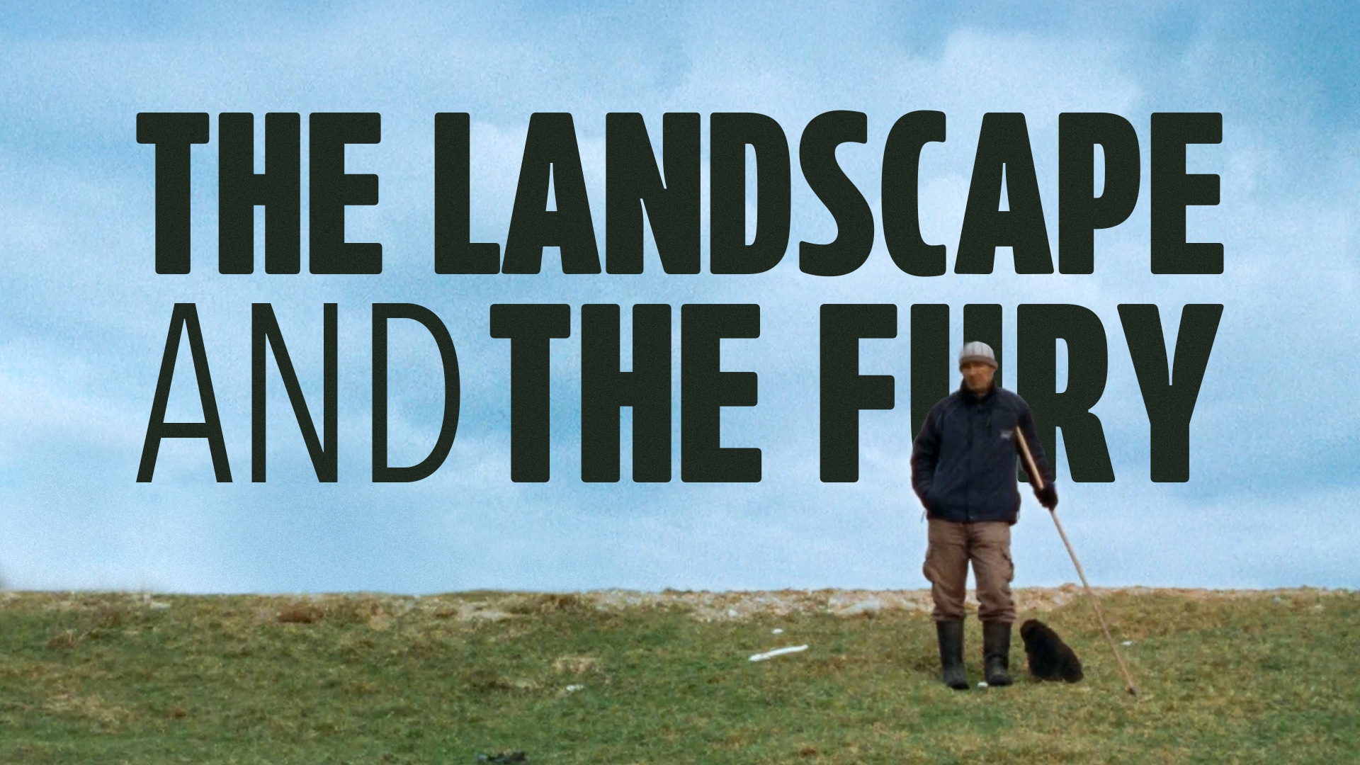 The Landscape and the Fury