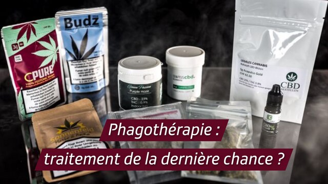 Phagotherapie: die Behandlung der letzten Chance?