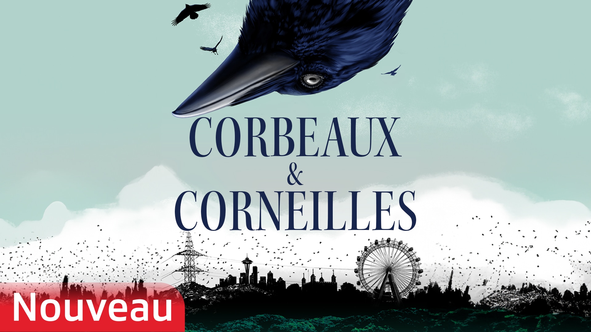 Corbeaux & Corneilles