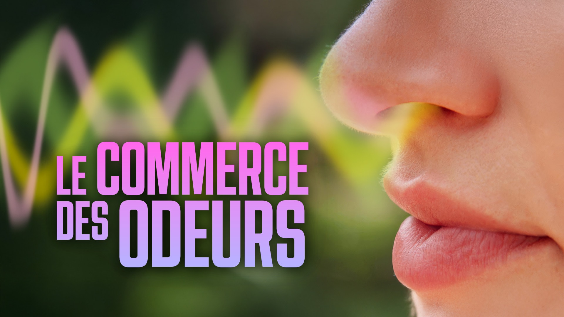 Le commerce des odeurs