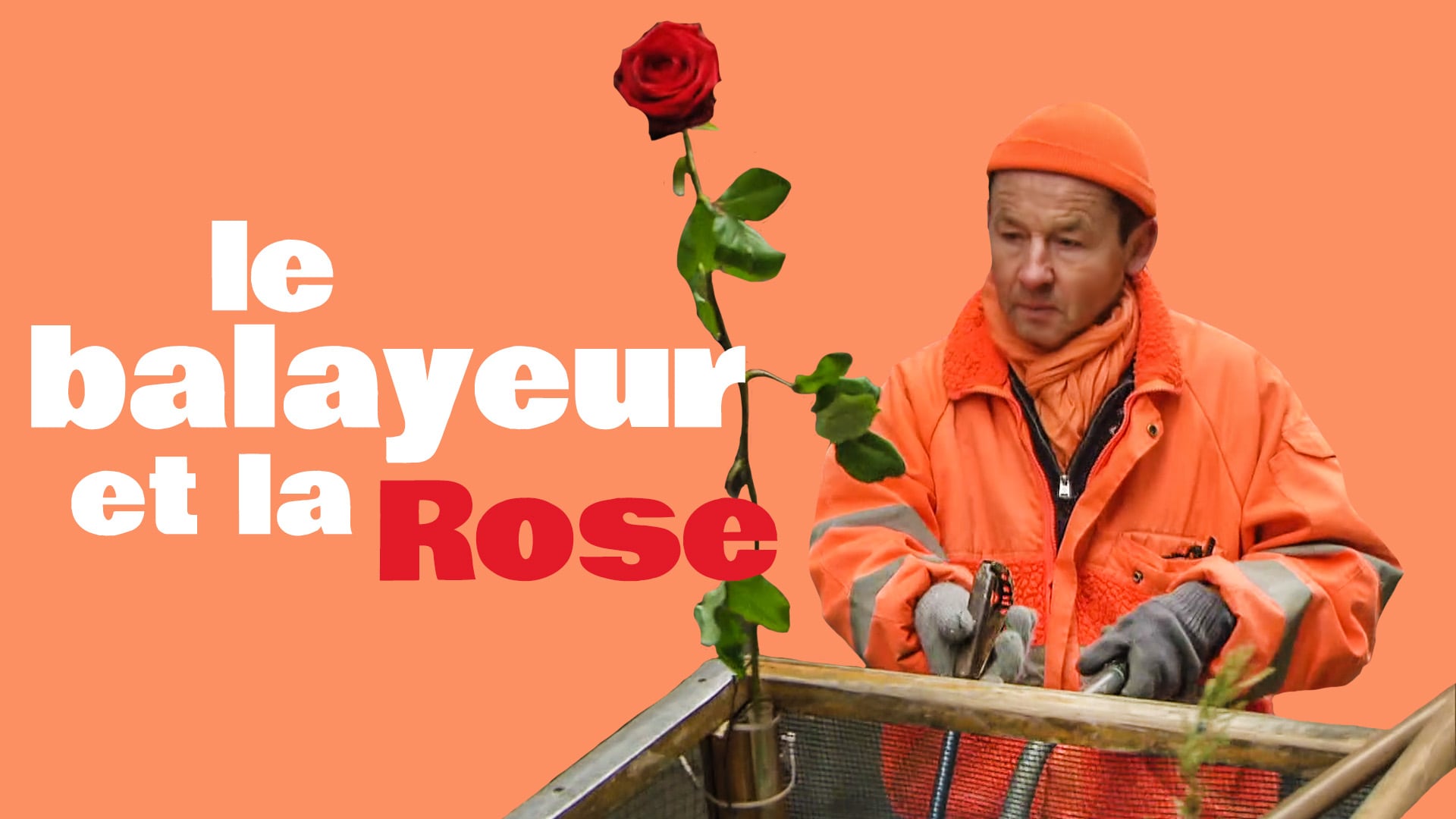 Le balayeur à la rose