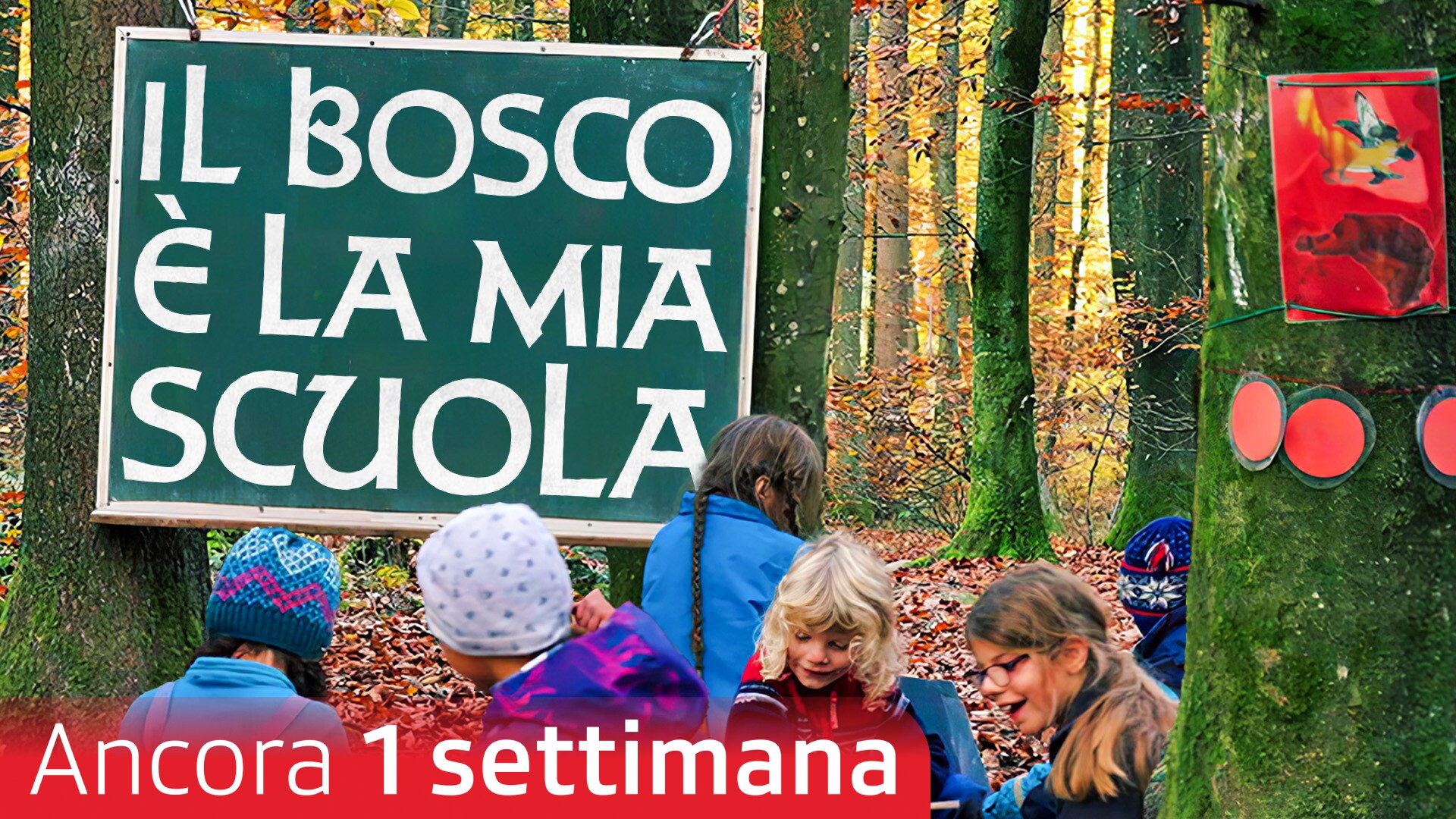 Il bosco è la mia scuola