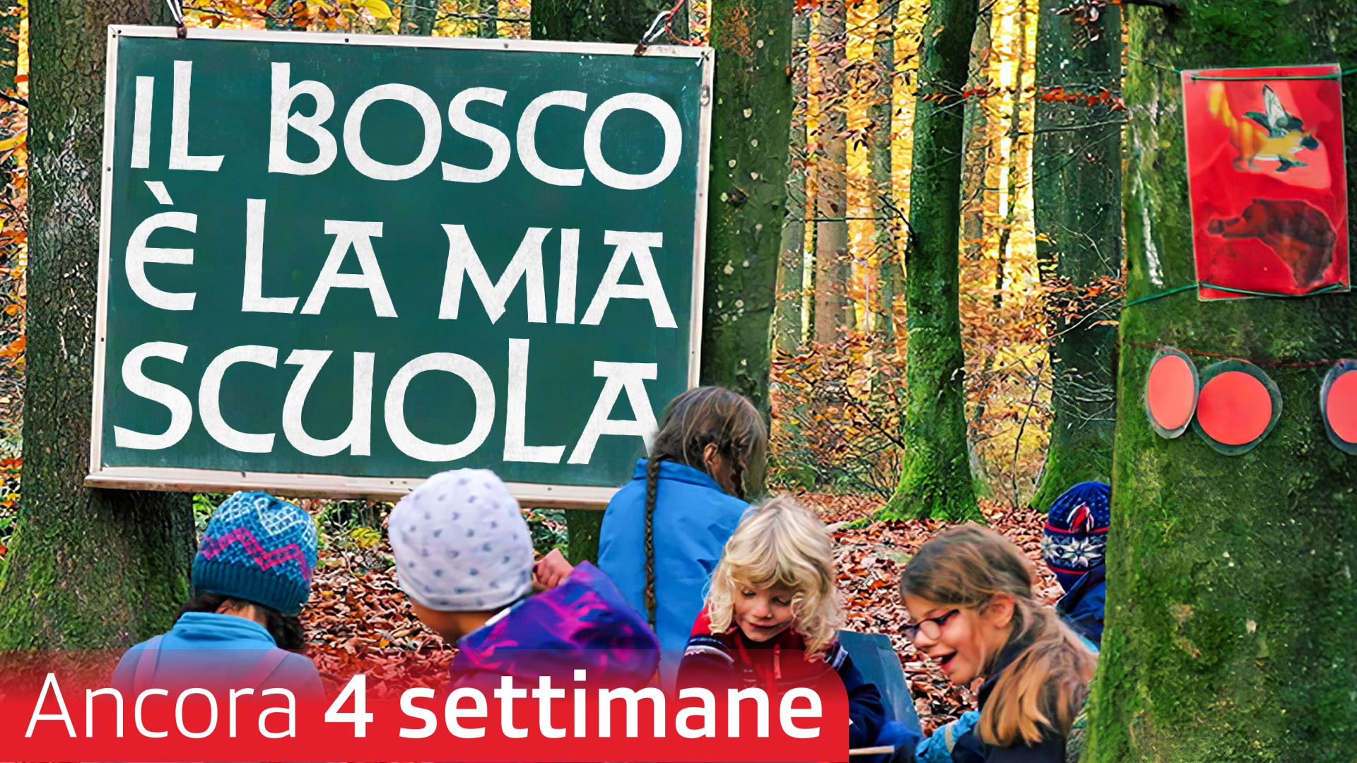 Il bosco è la mia scuola