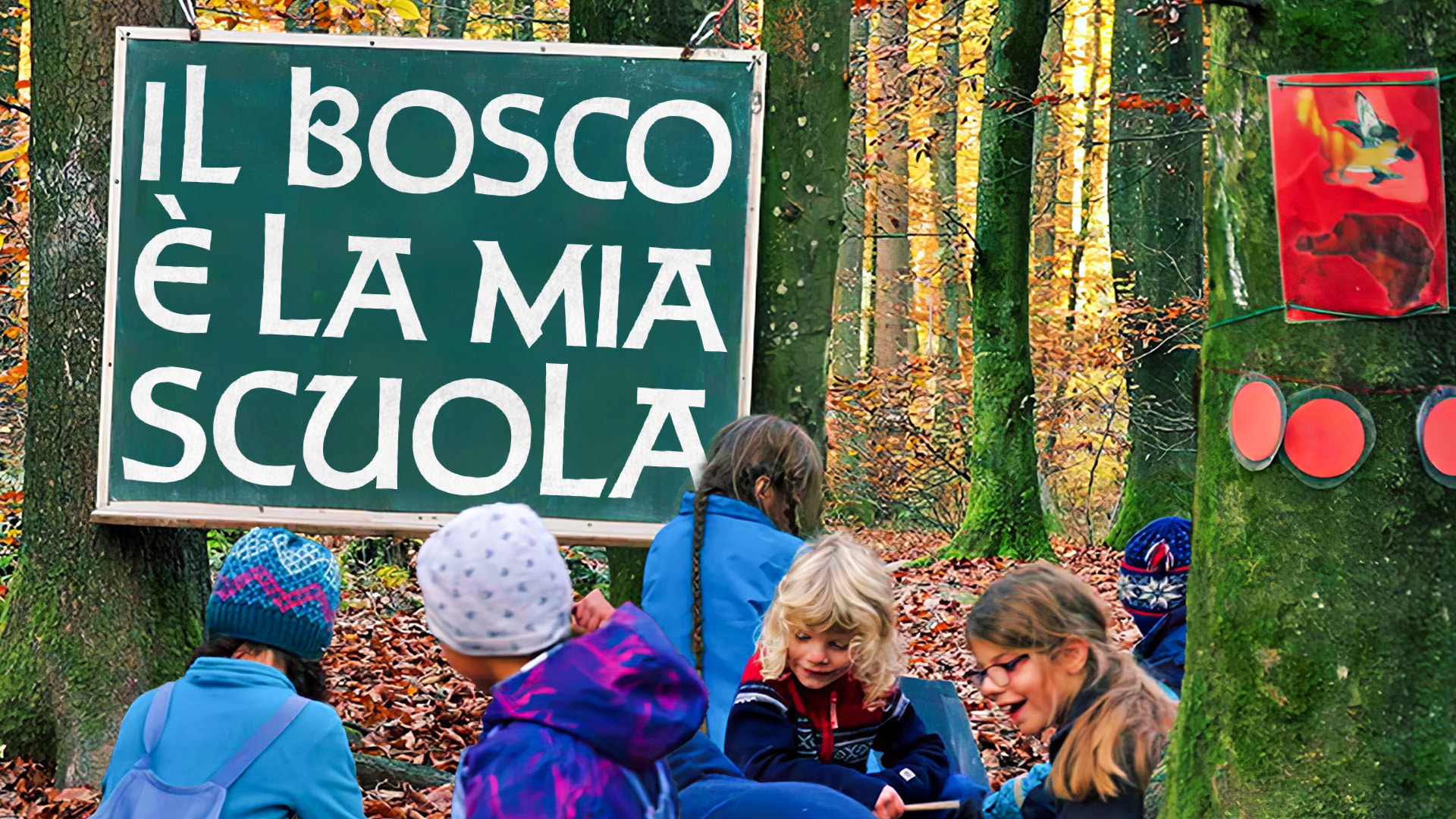 Il bosco è la mia scuola