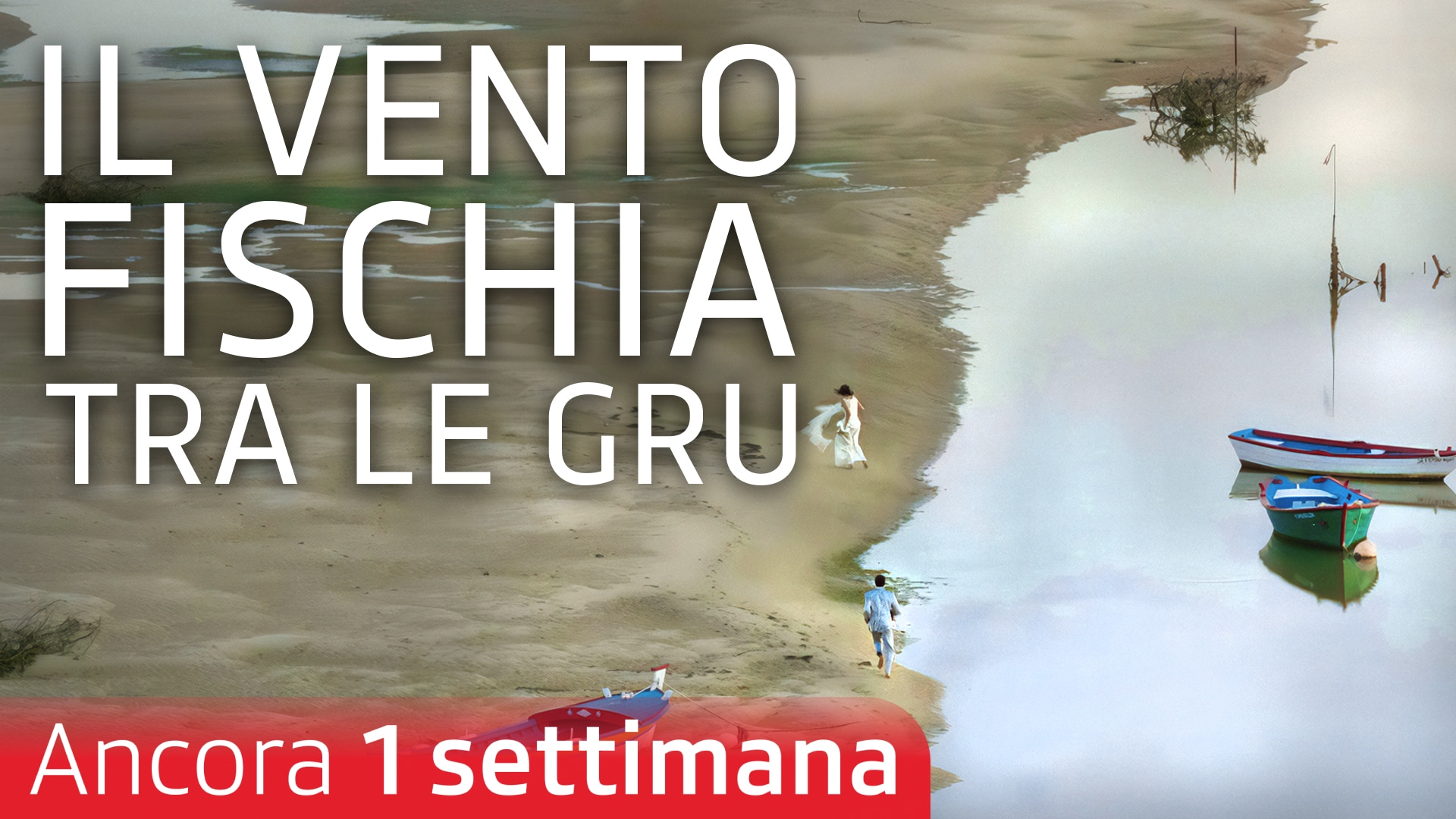 Il vento fischia tra le gru