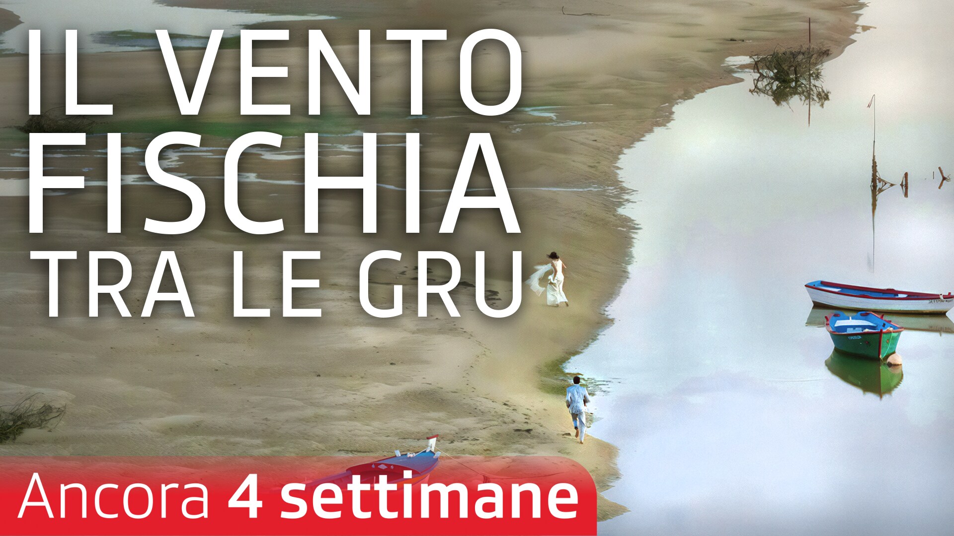 Il vento fischia tra le gru