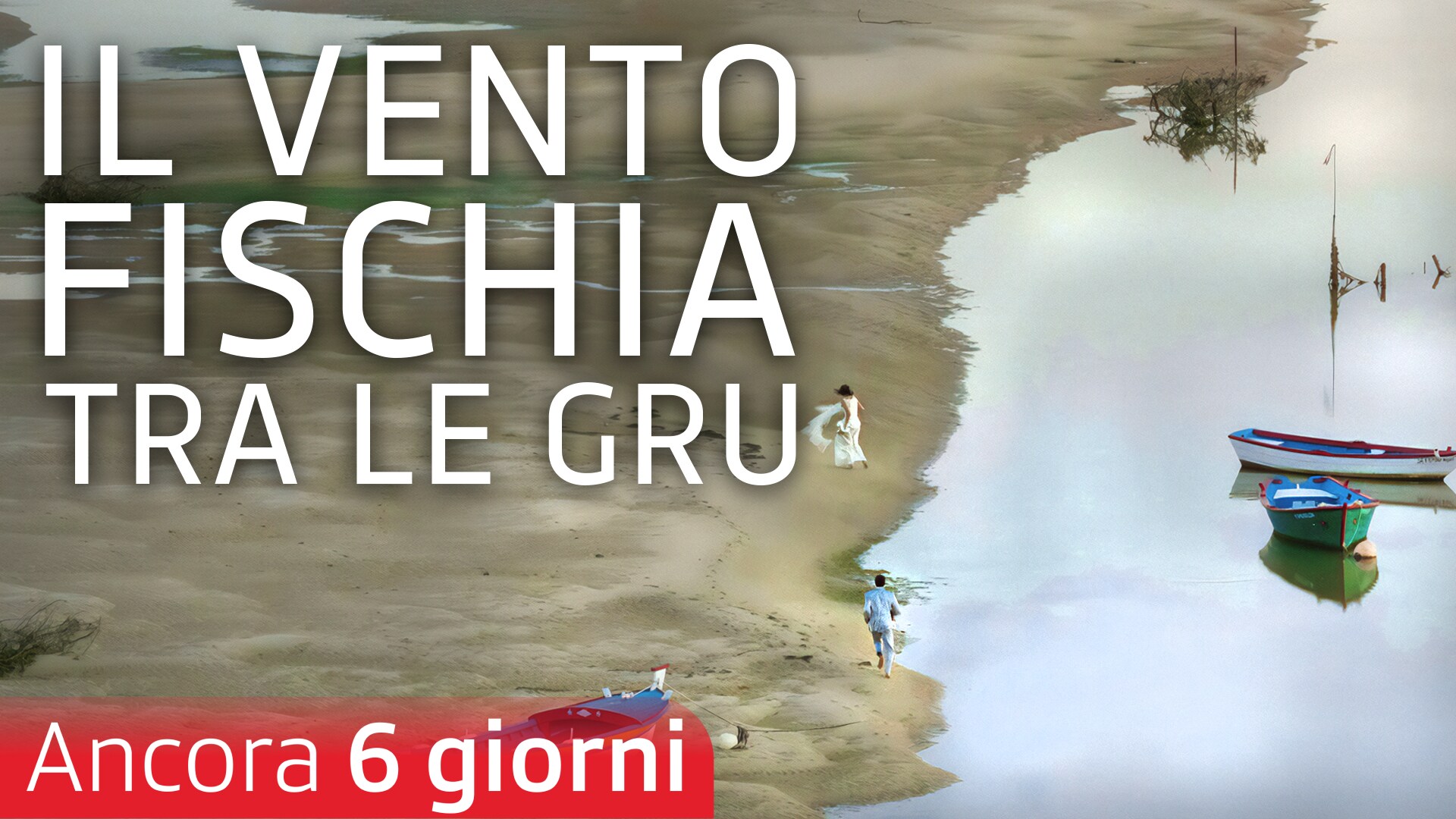 Il vento fischia tra le gru
