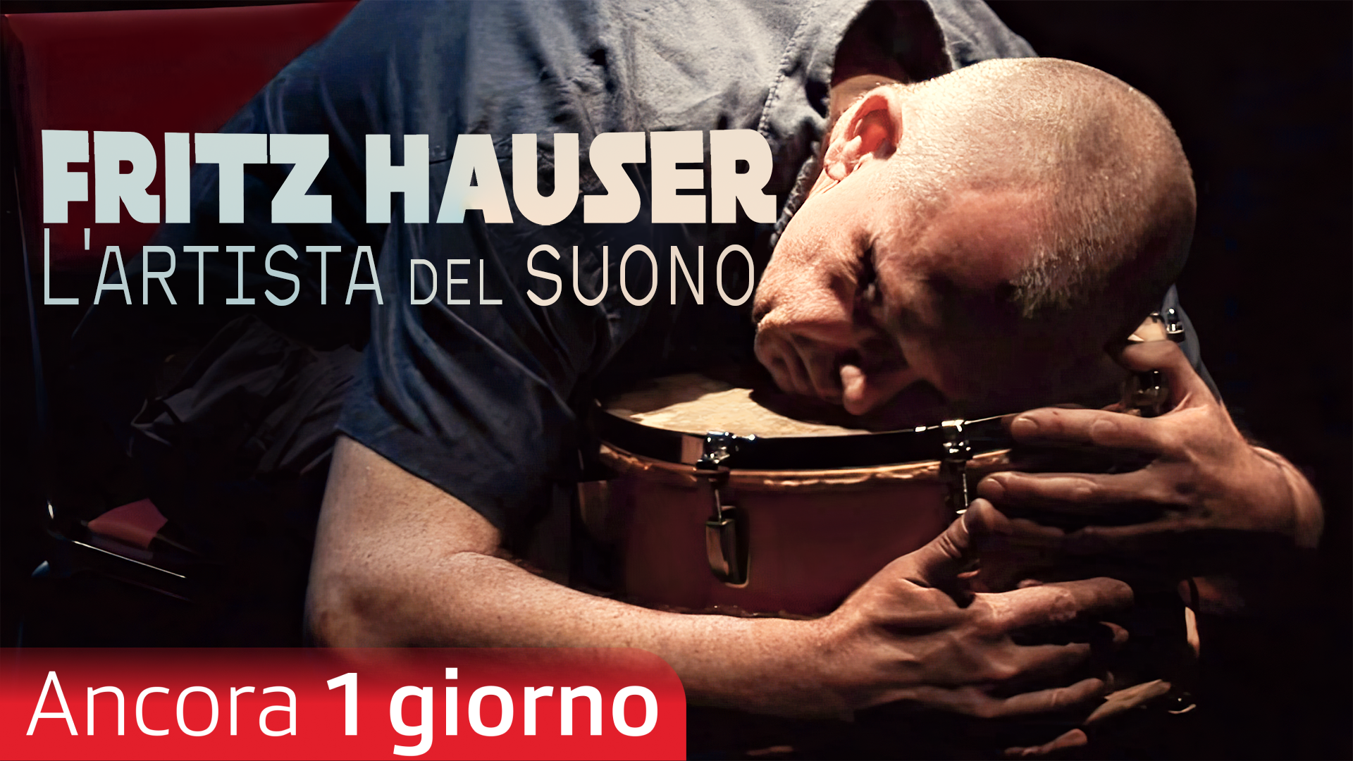Fritz Hauser - L'artista del suono