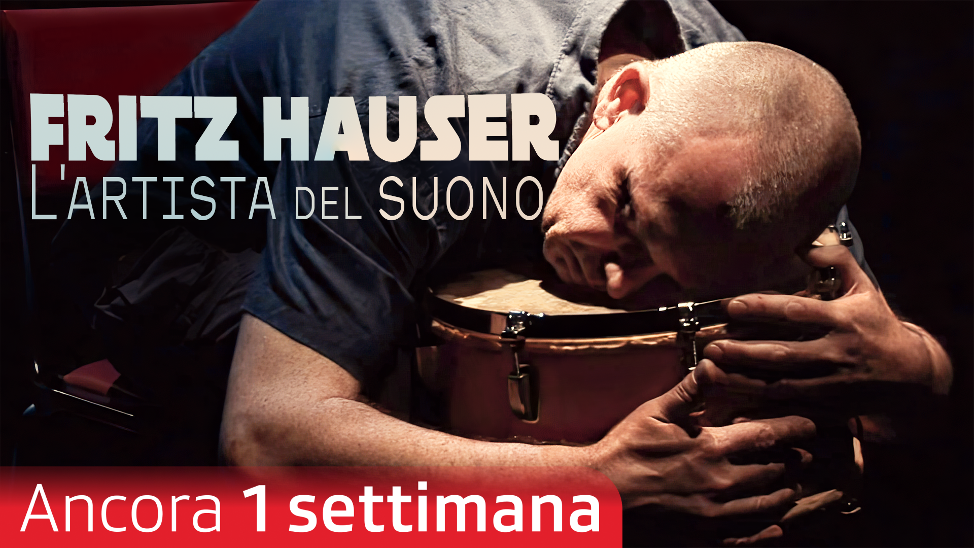 Fritz Hauser - L'artista del suono