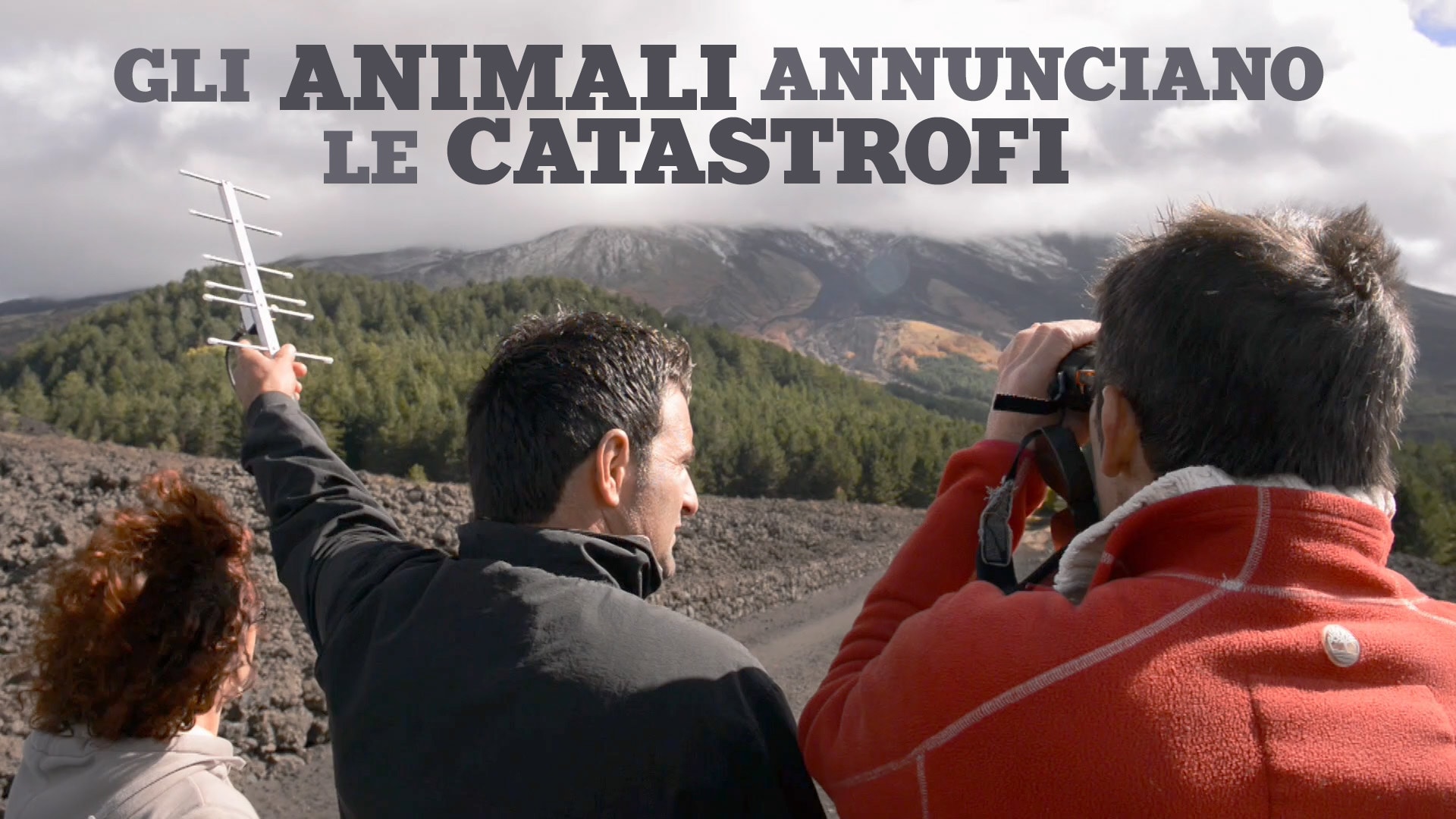 Gli animali annunciano le catastrofi