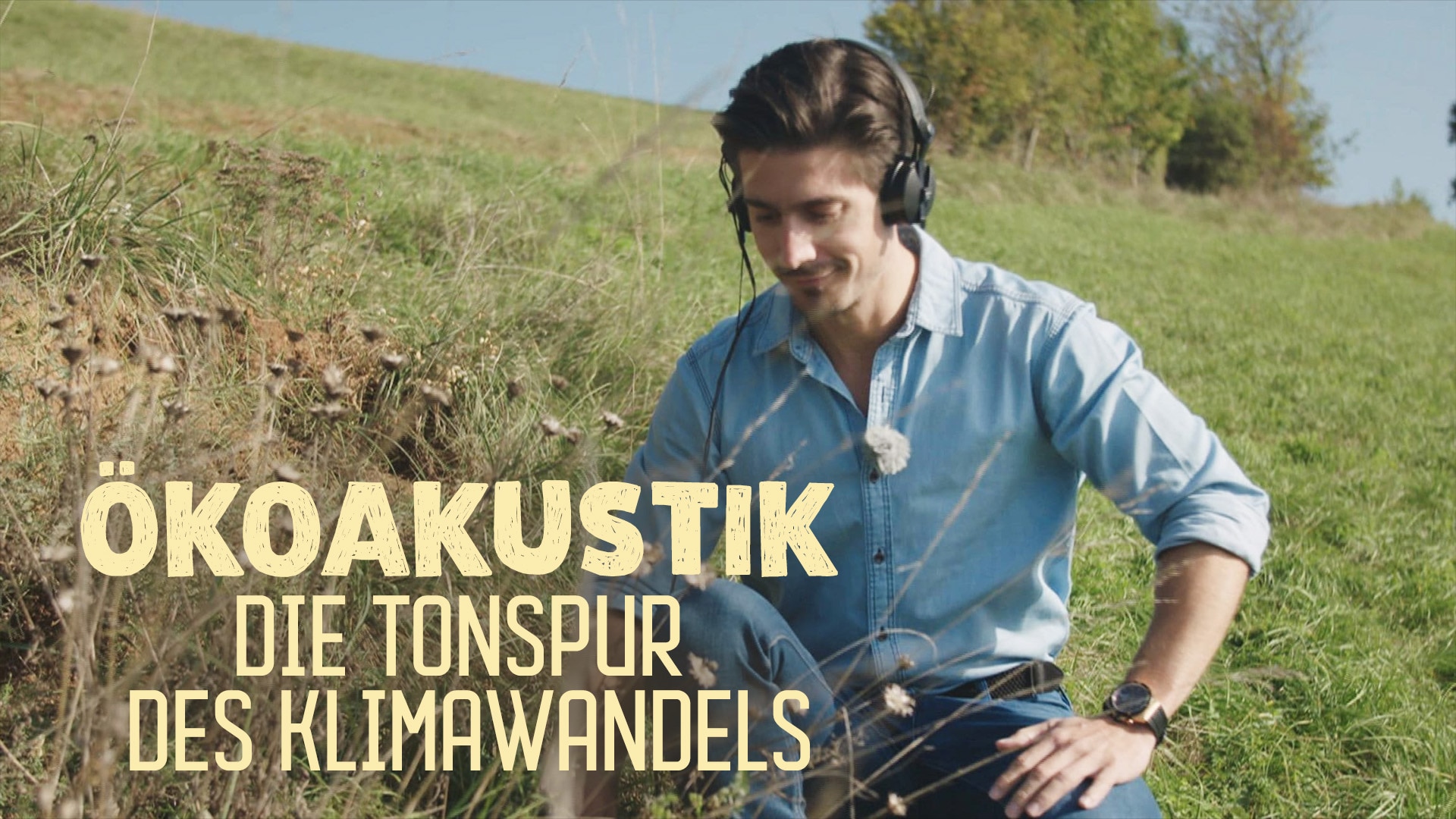 Ökoakustik: Die Tonspur des Klimawandels