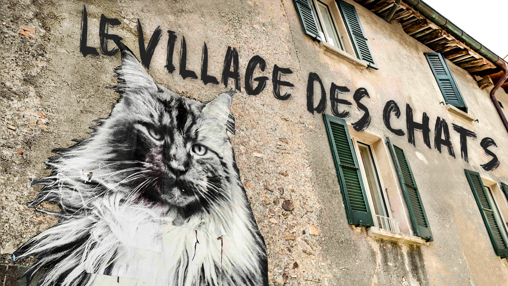 Le village des chats