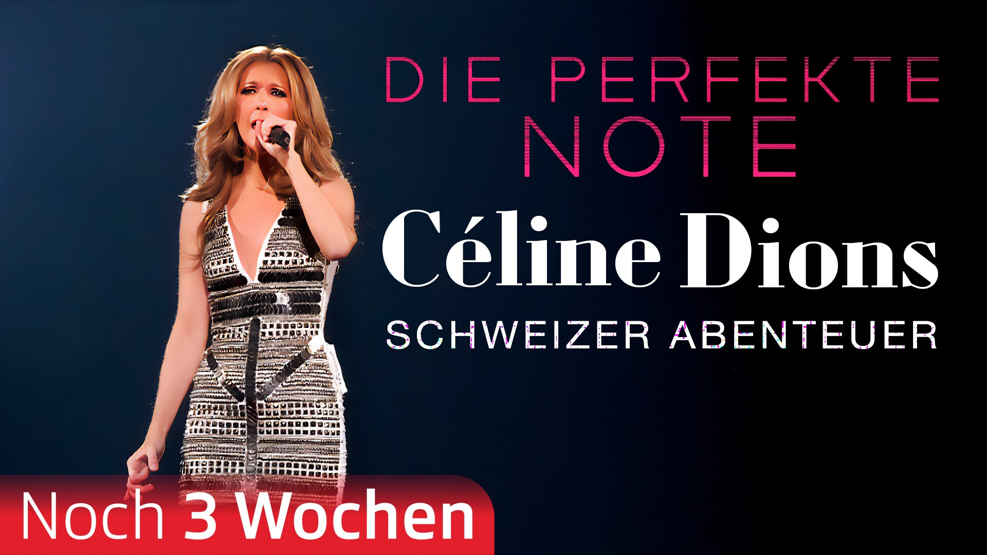 Die perfekte Note: Céline Dions Schweizer Abenteuer