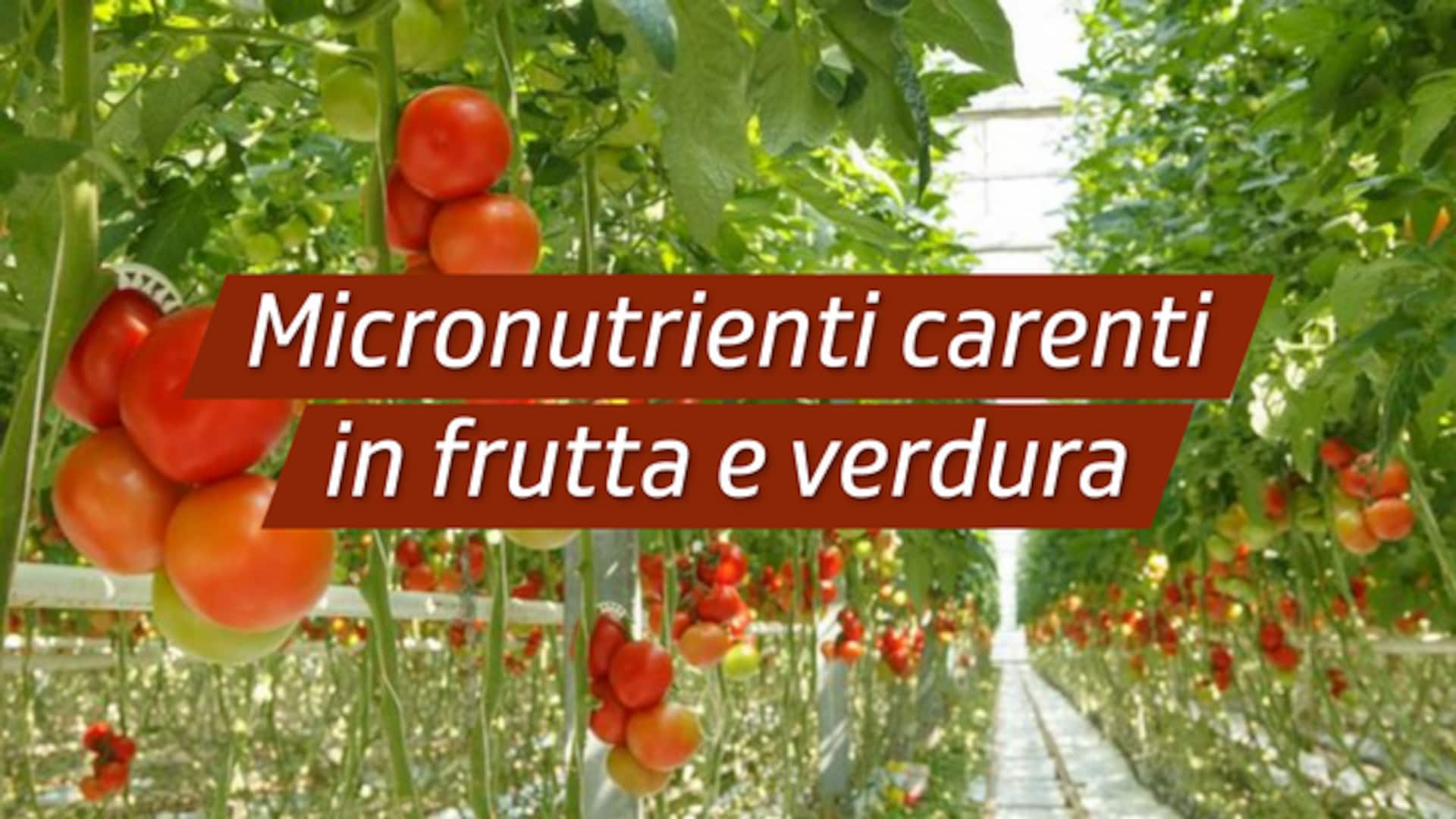 Micronutrienti carenti in frutta e verdura