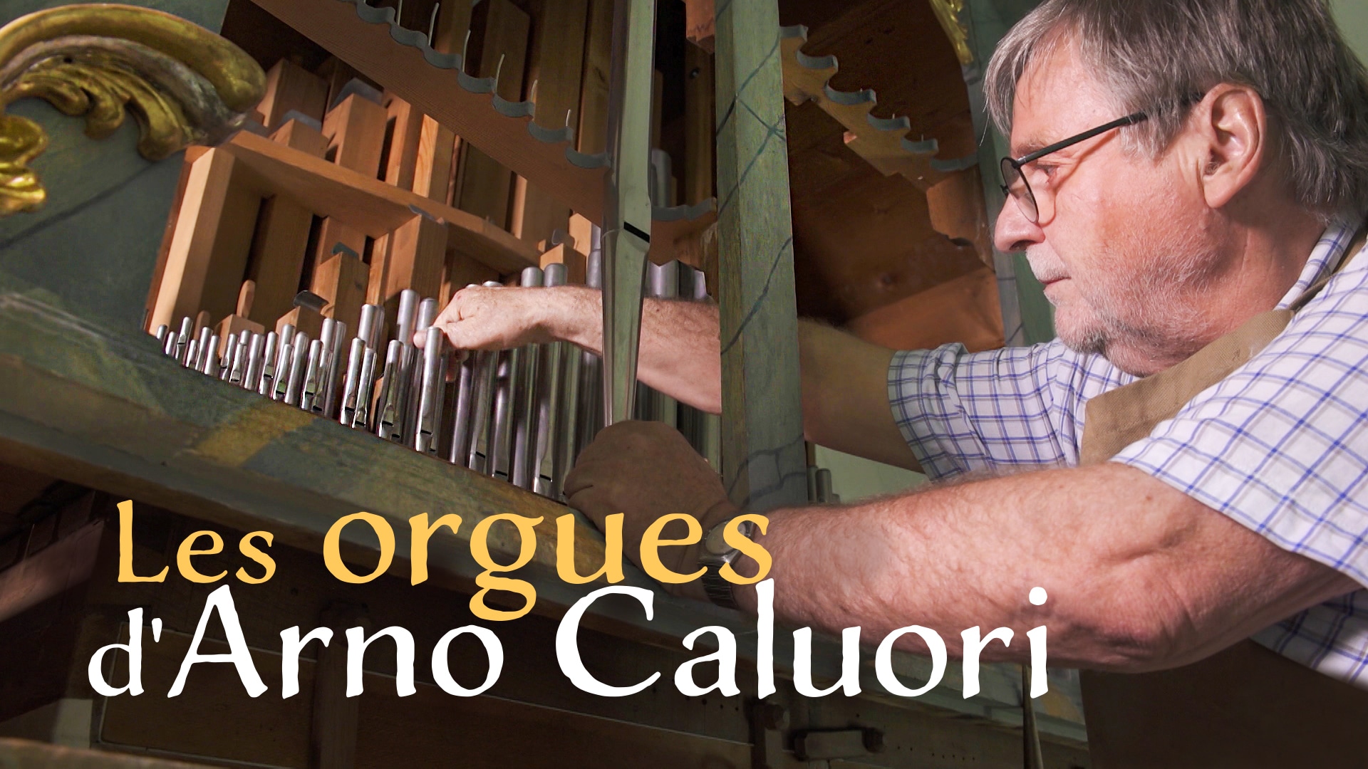 Les orgues d'Arno Caluori