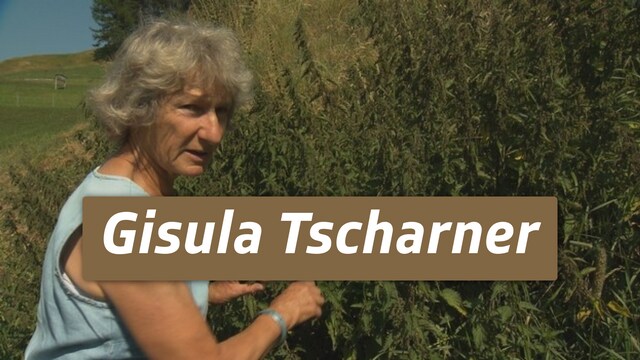 Gisula Tscharner