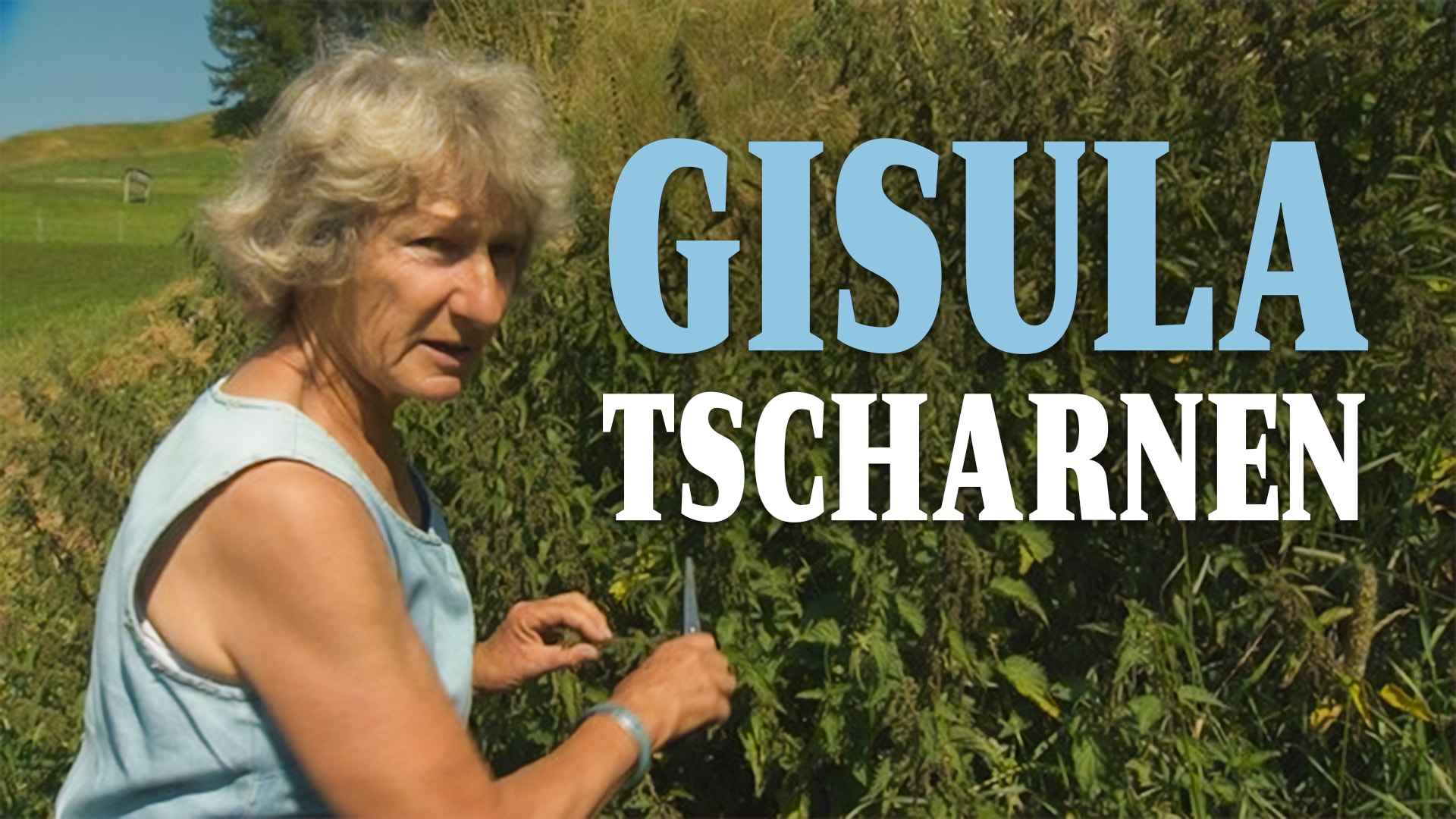 Gisula Tscharner