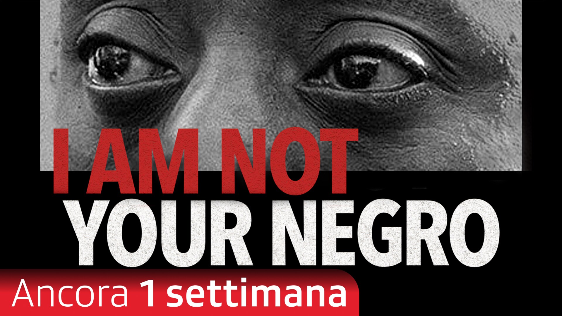 I Am Not Your Negro