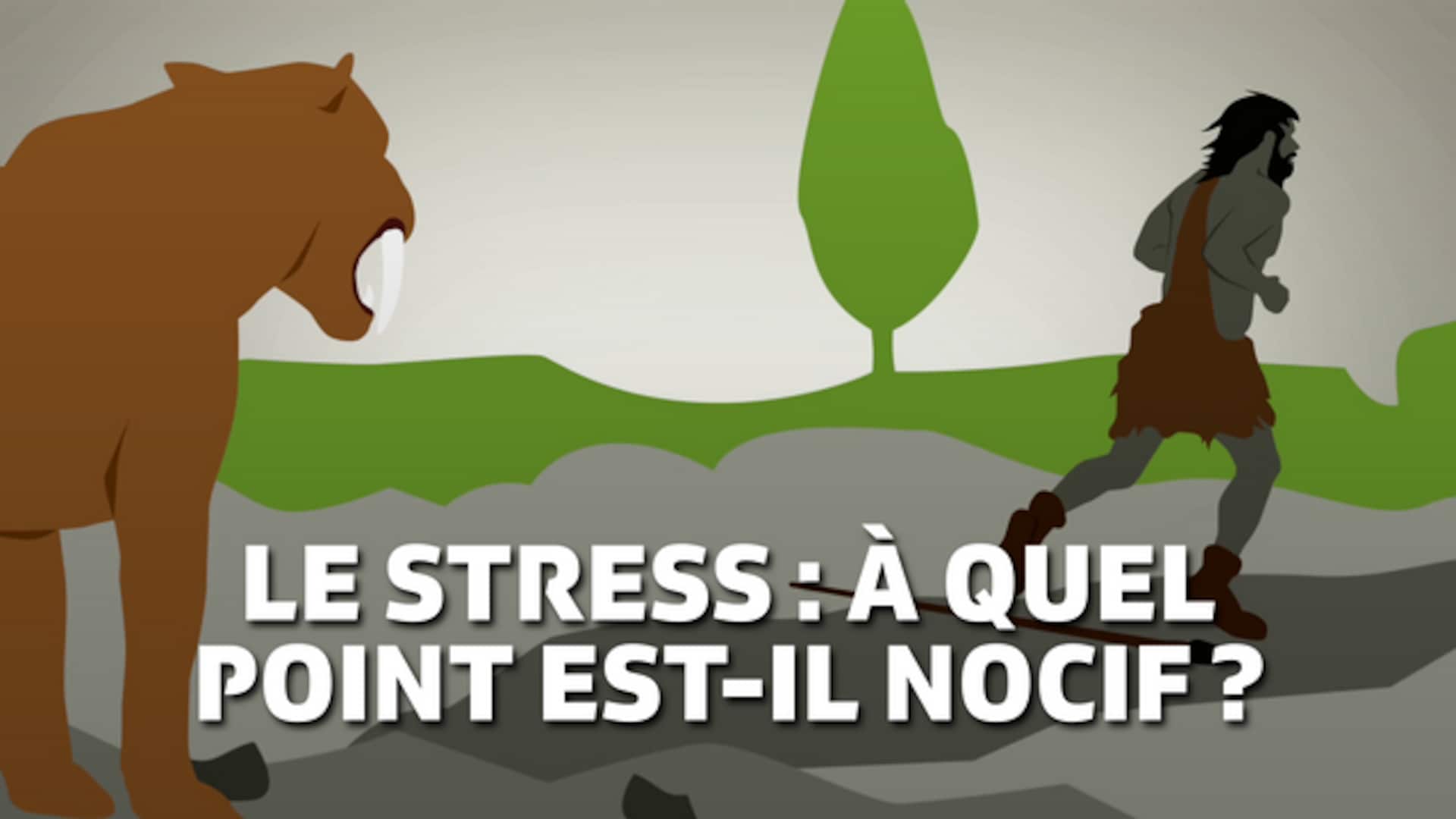 Le stress : à quel point est-il nocif ? 
