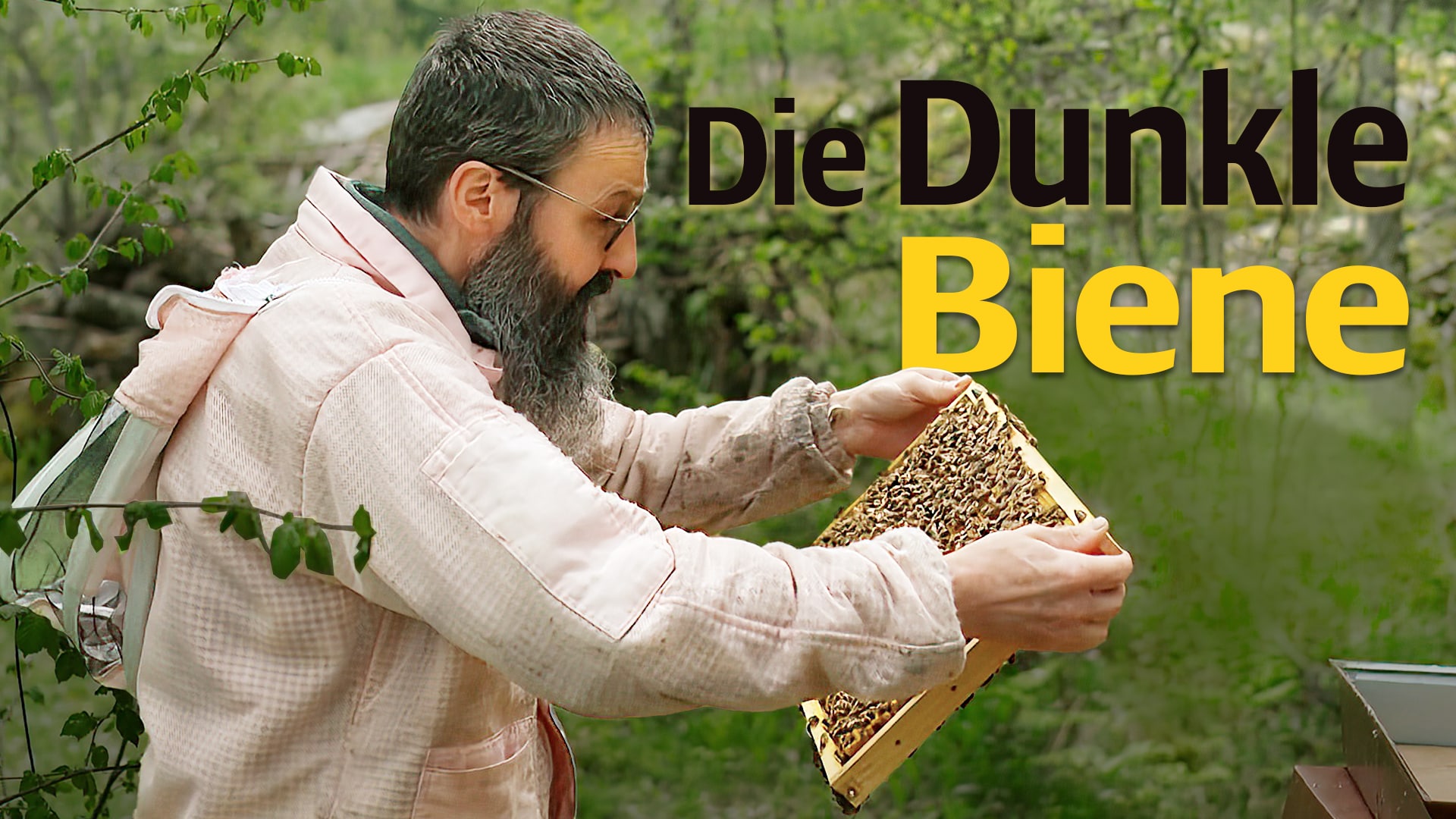 Die Dunkle Biene