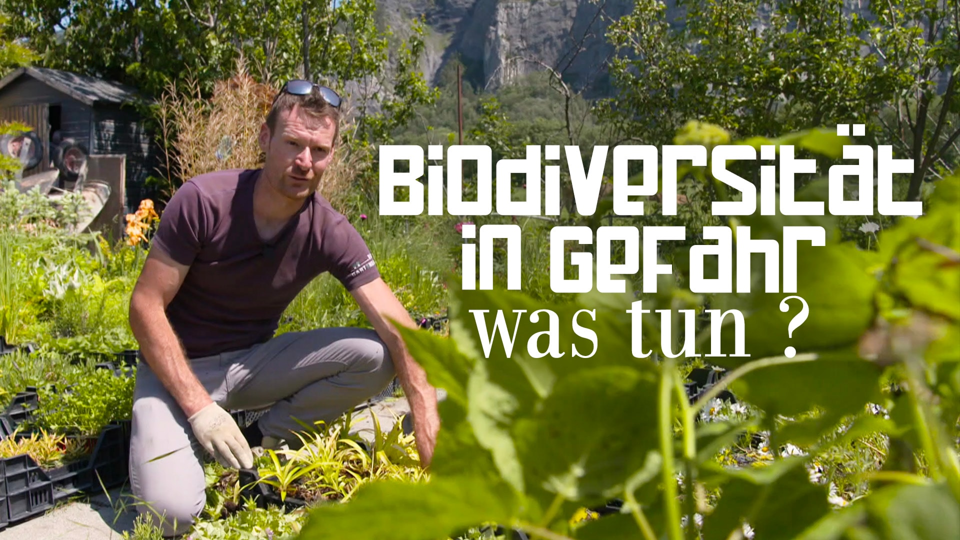 Biodiversität in Gefahr – Was tun?