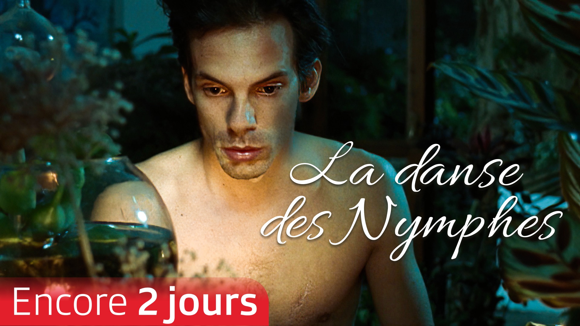 La danse des Nymphes