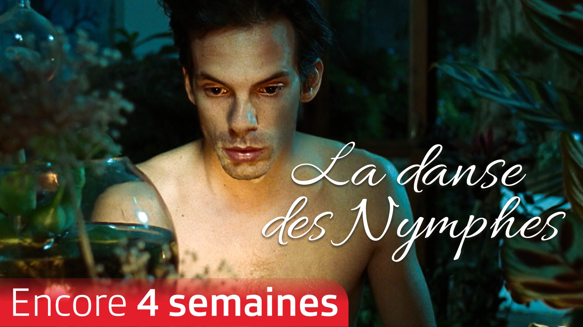 La danse des Nymphes