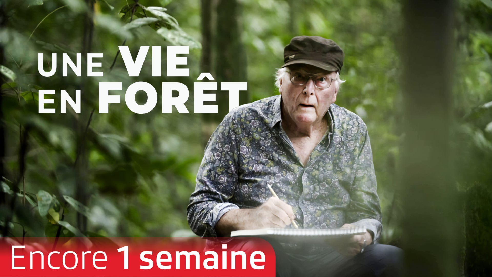 Une vie en forêt