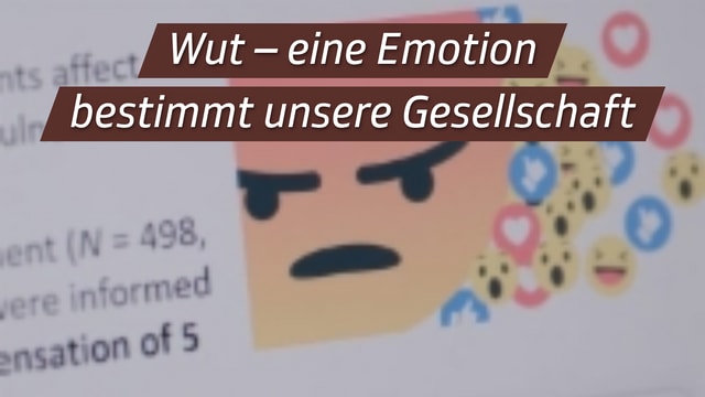 Wut – eine Emotion bestimmt unsere Gesellschaft