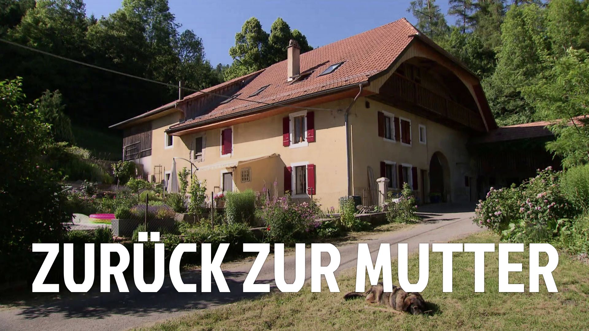 Zurück zur Mutter