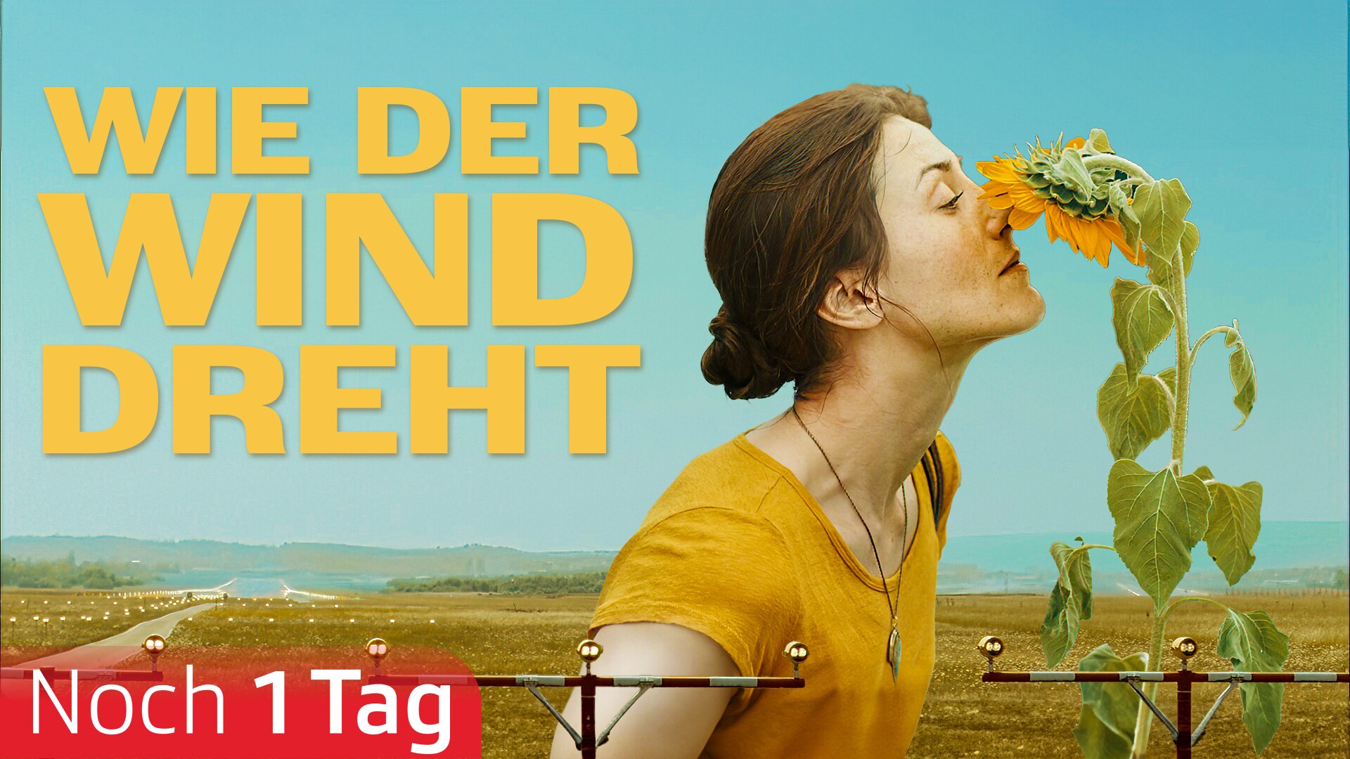 Wie der Wind dreht