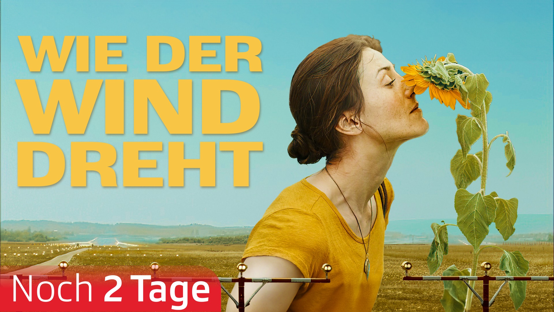 Wie der Wind dreht
