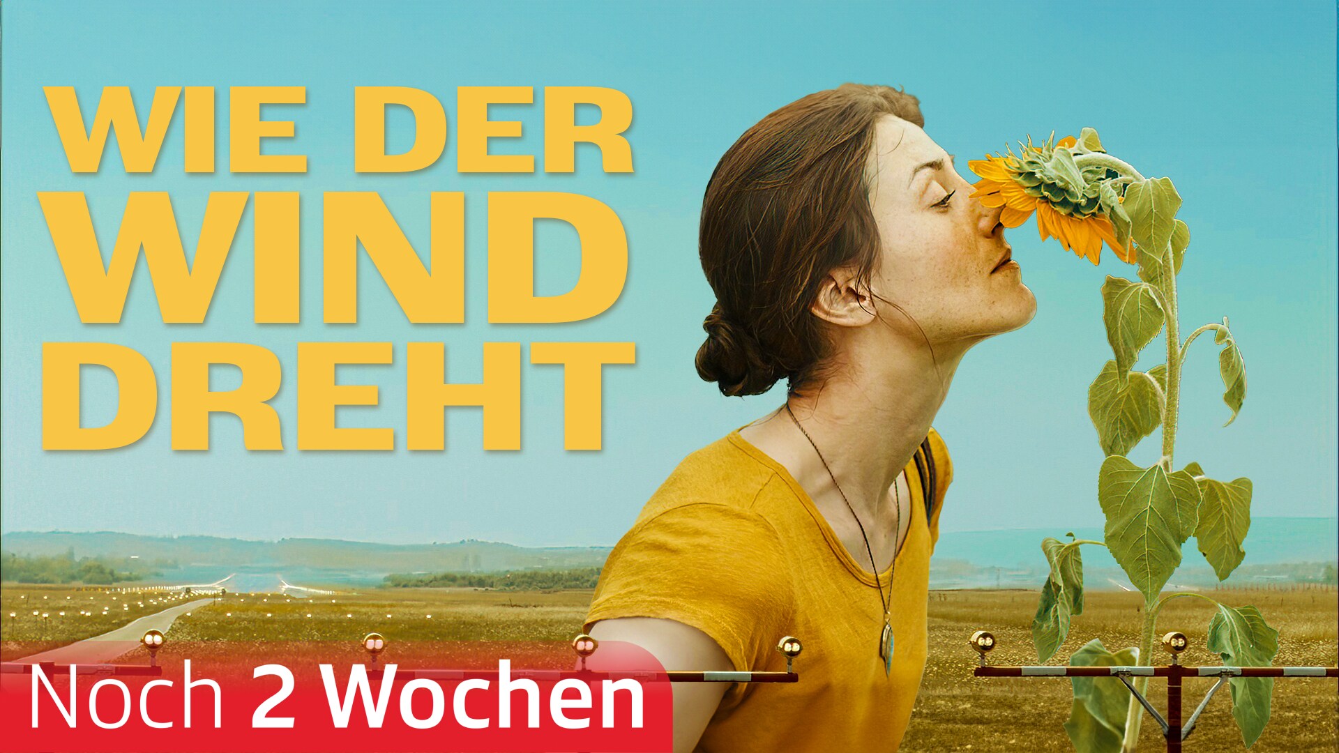 Wie der Wind dreht