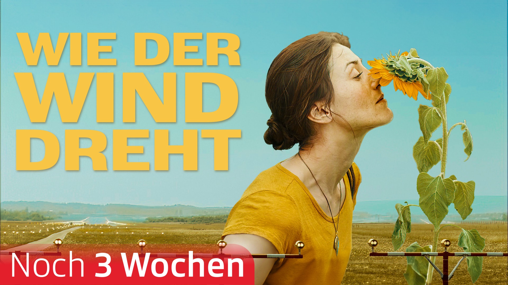 Wie der Wind dreht